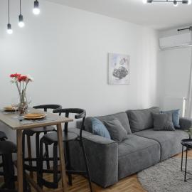 Apartment DobraYa Grey