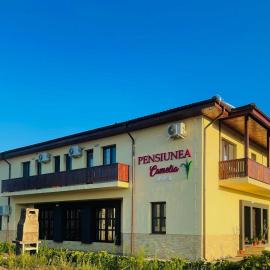 PENSIUNEA CAMELIA, hotel u gradu 'Baia'