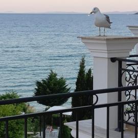 Horizon Katrina Apartments - Sea line & Beach Access, hotel in Sveti Vlas