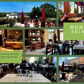 Albergo Ristorante Monte Selva，百瑞思西亞諾的飯店