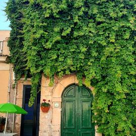 La Vite Americana, hotel i Punta Secca
