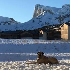 Les chalets de superD, apt 7-9 personnes