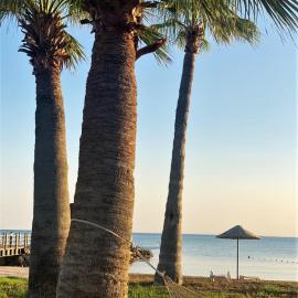 Penthouse Retreat by the Sea, hotel in Vokolidha