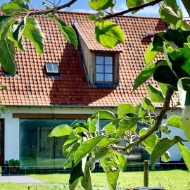 b&b Meilrijk, hotel Diestben