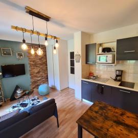 LES ORRES 1800 Appartement 4 p JACUZZI balnéo privé Vue piste piscine résidence