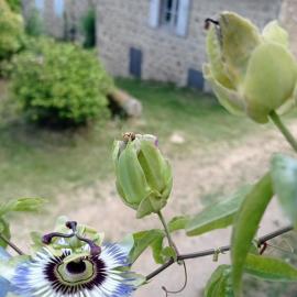 Ferme de fenivou