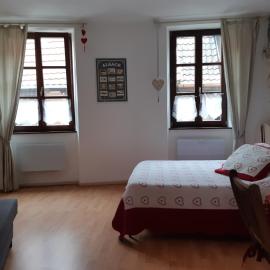 Le BUBELE au coeur du centre médiéval et vignoble, hotel in Ribeauvillé