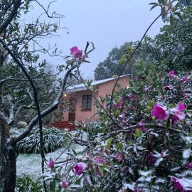 Whinstone Farm, hotell sihtkohas Greytown