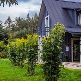 'Virš Ąžuolų'-Forest SPA -Holiday Home, hotel a Paplatelė