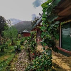 Zenoaks Homestay, hotel a Almora