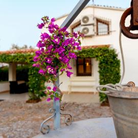 Villa Cortese, Hotel in Sorso