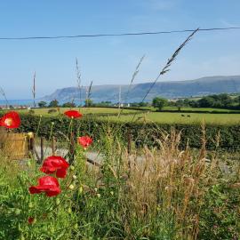 Glens glamping, hotel in Cushendall