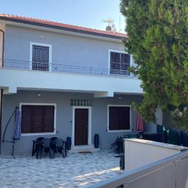 Cingohouse