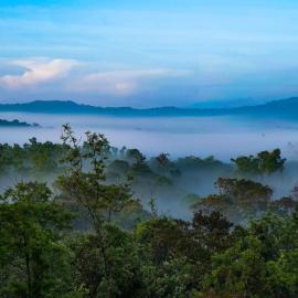 Jade Hills Coorg, hotel i Madikeri