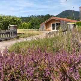Le Chalet dans la Nature, Hotel in Saulcy-sur-Meurthe