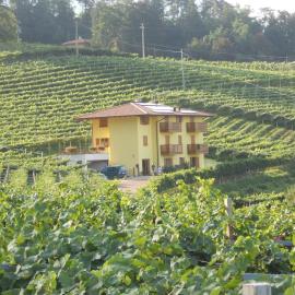Agritur al Vigneto, hotel in Trento