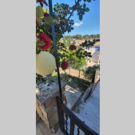 studio entre vallée colline et soleil marseillais