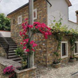 Kmetija Jogan, Wines & Apartments