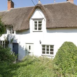 1 Old Thatch