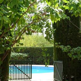 Casa en el campo con encanto, hotel in Almansa