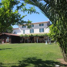 Azienda Agricola Sapereta