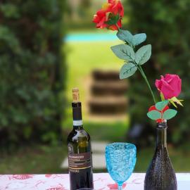 Private Garden Giardino Privato a Bardolino - House Amorino