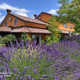Apartma Lavanda, hotel a Koper