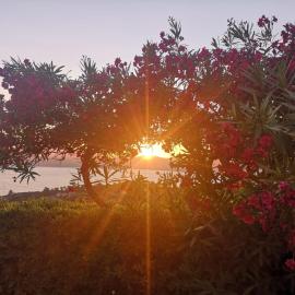 La casa sul tramonto - Capoliveri - services included