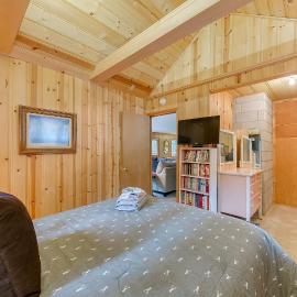 Cabin in the Pines