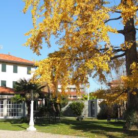 Ginkgo Guest House, Hotel in Ronchis