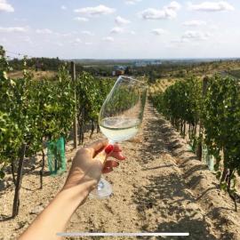 Cozy rooms in wine town - Modra, hotel din Modra