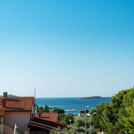 Apartments Irena with sea view