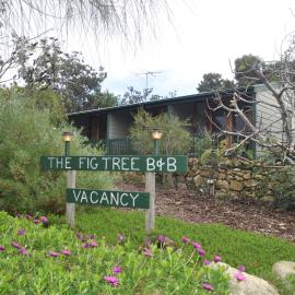 The Fig Tree B&B, hotel di Baudin Beach