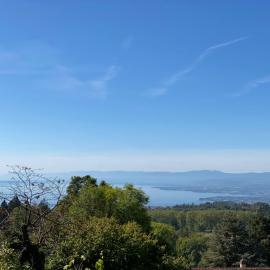 Petite maison à l'orée des bois vue magnifique sur le lac zenitude et plénitude, hotel v destinácii Belmont-sur-Lausanne