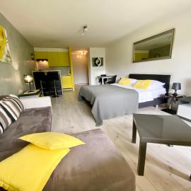Studios & Appartements famille - Saillon Evasion, Hotel in Saillon
