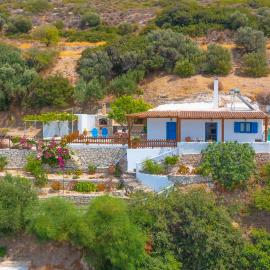 The Rock & The Lemon Tree