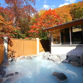 Chuzenji Kanaya Hotel, hotel u gradu Niko