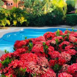 Valle Dorado 9, Hotel in Coco