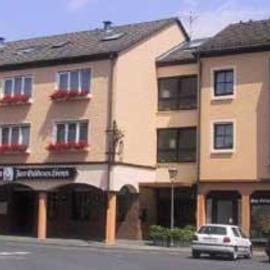 Hotel-Restaurant Zum Goldenen Löwen, hotel Kelkheimben