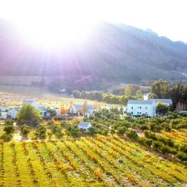 Droom Guesthouse, hotel in Franschhoek