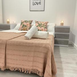 Apartamento la Paz WIFI y confort by apartamentos Logrono