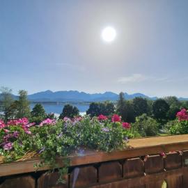 Landhaus Amberg Hopfen am See // Hopfensee // Füssen