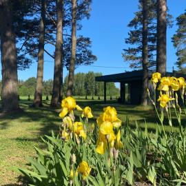 Villa Männituka Suvetuba, hótel í Kirikuküla