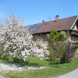 Gschwingerhof, hotel a Riedering