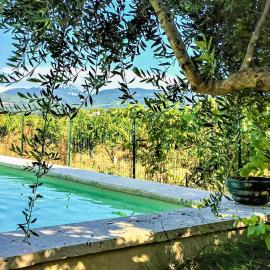 Amazing Home In Violès, hôtel à Violès