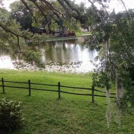 Tampa Lakehouse II 2 bedroom and 2 bathroom