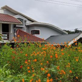 Chamayam Holiday Villa, hotel a Meenangadi