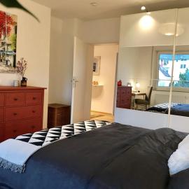Homey 1BR Business Apartment, Sofa Bed, Fast WiFi, Free Parking, Near BASF