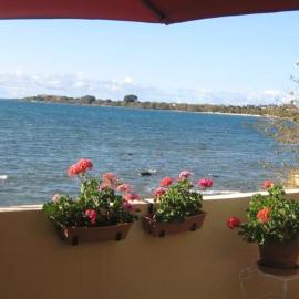 Le cactus guesthouse