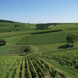 Au pied des Vignes, hotel em Sancerre